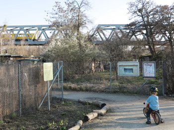 Kleingartenkolonie im Park am Gleisdreieck, oben fährt die U-Bahn