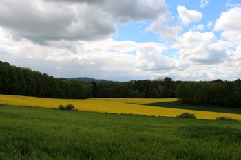 Krzyżowa en Pologne, terres cultivées