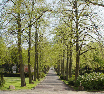 Le cimetière est un grand parc