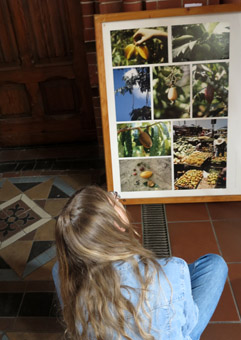 Photos de l'exposition représentant des fruits qu'on trouve en Amazonie