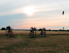 Waiting for the sunset on Tempelhofer Feld