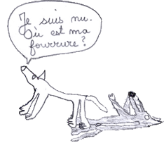 Un loup qui a enlevé sa veste