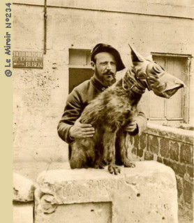 chien portant un masque à gaz