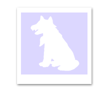  Loup de profil