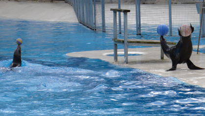 ZooParc Beauval