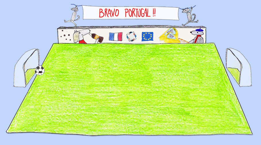 Euro de football 2016